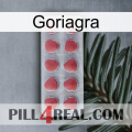 Goriagra 18